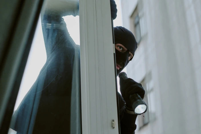 The Louvre Heist and Your Boardroom_What do priceless jewels and governance have in common